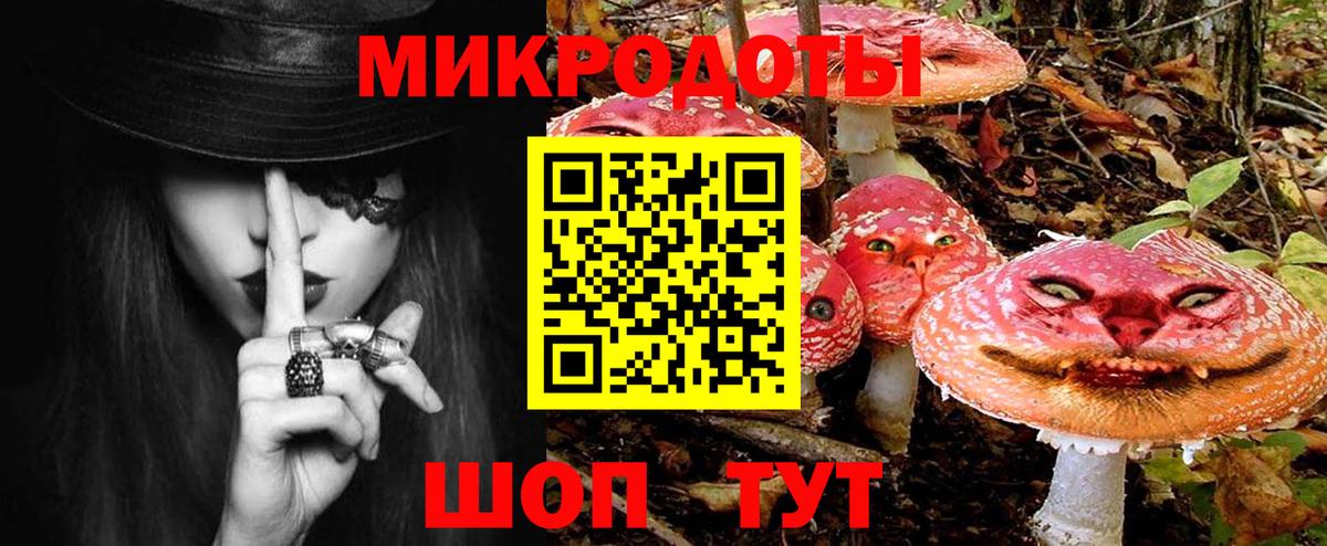 Галлюциногенные грибы мухоморы  Галлюциногенные грибы ЛСД  Вход с VPN  Унеча 